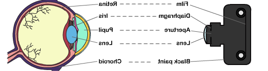 Eye To Camera Diagram